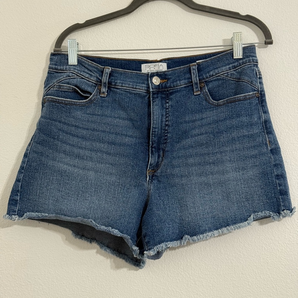USED Blue Denim Women's Shorts
